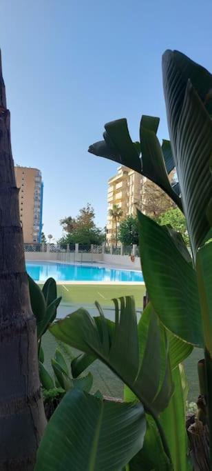 شقة بينالماذينا  في Elegante Alojamiento Con Piscina A 200 M Del Mar. المظهر الخارجي الصورة